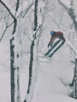 Salomon Dancehaul 152 2023 Snowboard 10 Salomon Dancehaul 152 2023 Snowboard -Dakine Verkäufe Dancehaul1522023Snowboard 2