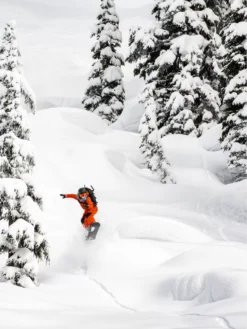 Lib Tech Orca 153 2023 Snowboard -Dakine Verkäufe Orca1532023Snowboard 1