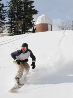 Snurfer Powder Surfer -Dakine Verkäufe PowderSurfer 2