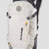 Dakine Team Heli 12L Rucksack -Dakine Verkäufe TeamHeli12LRucksack